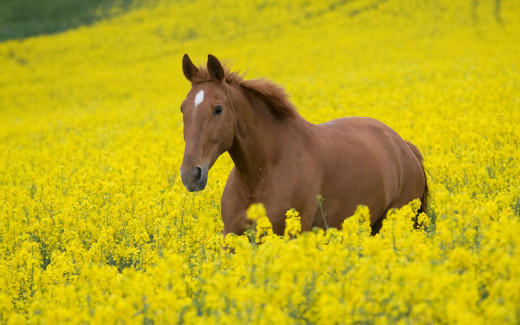 502844 (a): :2560x1600